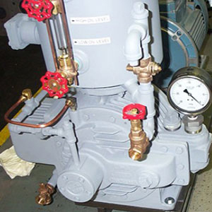 Beach Russ Vacuum Pump Repair